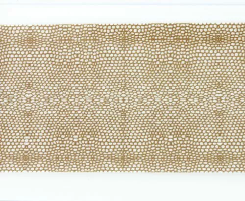 Wapsi Thin Skin Gator Pattern - Funky Fly Tying 5 Wapsi Thin Skin Gator Pattern - Funky Fly Tying - Image 3