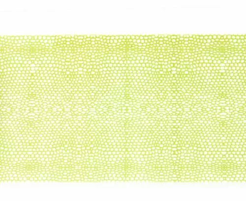 Wapsi Thin Skin Gator Pattern - Funky Fly Tying 16 Wapsi Thin Skin Gator Pattern - Funky Fly Tying - Image 14