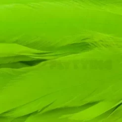 Whiting 1/4oz Loose Pack Of Schlappen - Funky Fly Tying -Fly Tying Materials Sales Whiting 1 4oz Loose Pack of Schlappen Dyed FL. Green Chartreuse 1 1