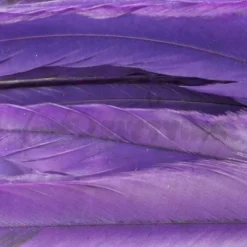 Whiting 1/4oz Loose Pack Of Schlappen - Funky Fly Tying -Fly Tying Materials Sales Whiting 1 4oz Loose Pack of Schlappen Dyed Purple 1