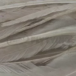 Whiting 1/4oz Loose Pack Of Schlappen - Funky Fly Tying -Fly Tying Materials Sales Whiting 1 4oz Loose Pack of Schlappen Dyed Tan 1