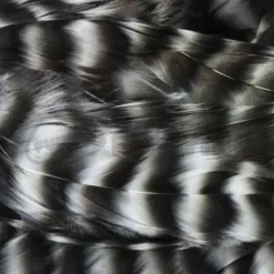 Whiting 1/4oz Loose Pack Of Schlappen - Funky Fly Tying -Fly Tying Materials Sales Whiting 1 4oz Loose Pack of Schlappen Grizzle 1