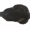 Whiting 4 B's Hen Cape - Funky Fly Tying -Fly Tying Materials Sales Whiting 4B Hen Neck Capes Black