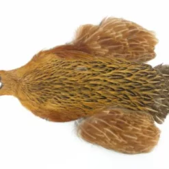Whiting 4 B's Hen Cape - Funky Fly Tying -Fly Tying Materials Sales Whiting 4B Hen Neck Capes Greenwells