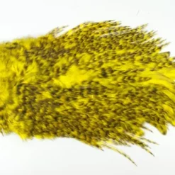 Whiting 4 B's Rooster Saddle - Funky Fly Tying -Fly Tying Materials Sales Whiting 4B Rooster Saddle Capes 3