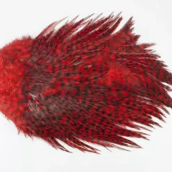 Whiting 4 B's Rooster Saddle - Funky Fly Tying -Fly Tying Materials Sales Whiting 4B Rooster Saddle Capes 7
