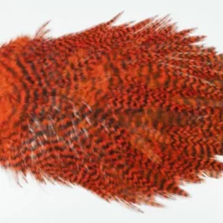 Whiting 4 B's Rooster Saddle - Funky Fly Tying -Fly Tying Materials Sales Whiting 4B Rooster Saddle Capes Dyed Grizzly Orange