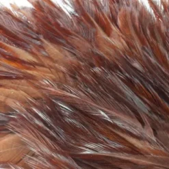 Whiting American Streamer Packs - Funky Fly Tying -Fly Tying Materials Sales Whiting American Streamer Packs 1 1 1