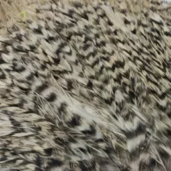 Whiting American Streamer Packs - Funky Fly Tying -Fly Tying Materials Sales Whiting American Streamer Packs 10 1 1