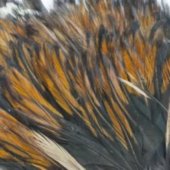 Whiting American Streamer Packs - Funky Fly Tying -Fly Tying Materials Sales Whiting American Streamer Packs 2 1 1