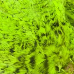 Whiting American Streamer Packs - Funky Fly Tying -Fly Tying Materials Sales Whiting American Streamer Packs 5 1 1