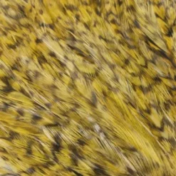 Whiting American Streamer Packs - Funky Fly Tying -Fly Tying Materials Sales Whiting American Streamer Packs 6 1 1