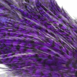 Whiting American Streamer Packs - Funky Fly Tying -Fly Tying Materials Sales Whiting American Streamer Packs 8 1 1