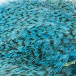 Whiting American Streamer Packs - Funky Fly Tying -Fly Tying Materials Sales Whiting American Streamer Packs 9 1 1