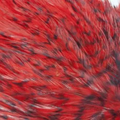 Whiting American Streamer Packs - Funky Fly Tying -Fly Tying Materials Sales Whiting American Streamer Packs Dyed Grizzly Red 1 1