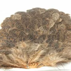 Whiting Brahma Hen Saddle - Funky Fly Tying -Fly Tying Materials Sales Whiting Brahma Hen Saddle Capes Dyed Tan