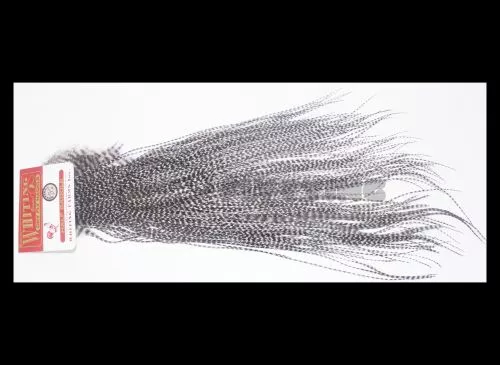 Whiting Bronze Grade Midge 1/2 Saddle - Funky Fly Tying 3 Whiting Bronze Grade Midge 1/2 Saddle - Funky Fly Tying