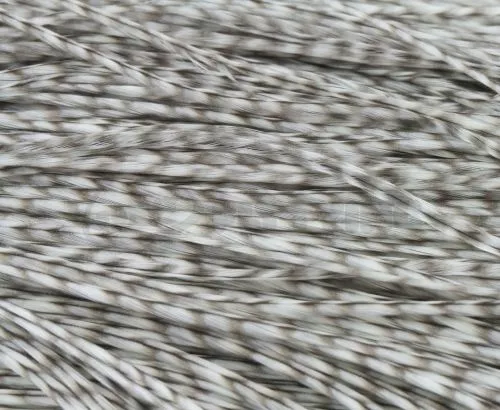 Whiting Bronze Grade Saddle - Funky Fly Tying 29 Whiting Bronze Grade Saddle - Funky Fly Tying - Image 27