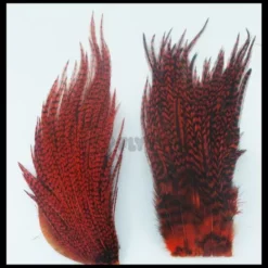 Whiting Bugger Packs - Funky Fly Tying -Fly Tying Materials Sales Whiting Bugger Packs 10 1