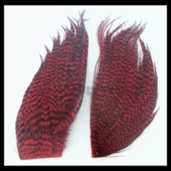 Whiting Bugger Packs - Funky Fly Tying -Fly Tying Materials Sales Whiting Bugger Packs 13 1