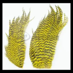 Whiting Bugger Packs - Funky Fly Tying -Fly Tying Materials Sales Whiting Bugger Packs 14 1