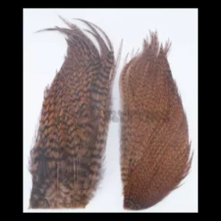 Whiting Bugger Packs - Funky Fly Tying -Fly Tying Materials Sales Whiting Bugger Packs 5 1 1