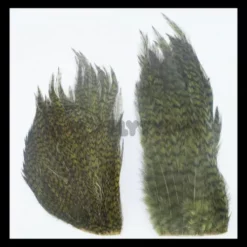 Whiting Bugger Packs - Funky Fly Tying -Fly Tying Materials Sales Whiting Bugger Packs 6 1 1