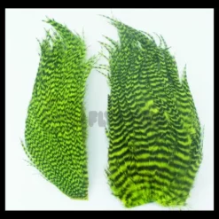 Whiting Bugger Packs - Funky Fly Tying -Fly Tying Materials Sales Whiting Bugger Packs 7 1