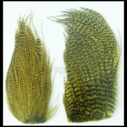 Whiting Bugger Packs - Funky Fly Tying -Fly Tying Materials Sales Whiting Bugger Packs 8 1 1