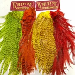 Whiting CDL Predator Pack - Funky Fly Tying