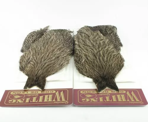 Whiting Coq De Leon Hen Cape - Funky Fly Tying 5 Whiting Coq De Leon Hen Cape - Funky Fly Tying - Image 3
