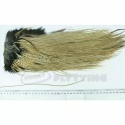 Whiting Eurohackle Saddle - Funky Fly Tying -Fly Tying Materials Sales Whiting Eurohackle Saddle Cape 1 1