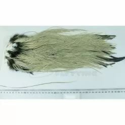 Whiting Eurohackle Saddle - Funky Fly Tying -Fly Tying Materials Sales Whiting Eurohackle Saddle Cape 3 1