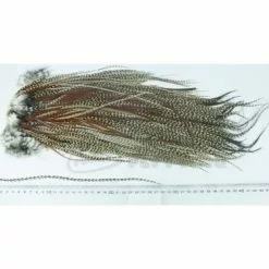 Whiting Eurohackle Saddle - Funky Fly Tying -Fly Tying Materials Sales Whiting Eurohackle Saddle Cape Furnace 1
