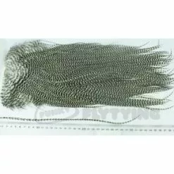 Whiting Eurohackle Saddle - Funky Fly Tying -Fly Tying Materials Sales Whiting Eurohackle Saddle Cape Grizzle 1