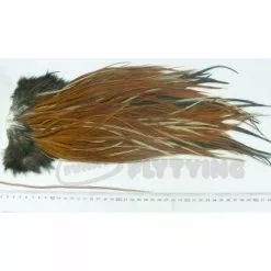 Whiting Eurohackle Saddle - Funky Fly Tying -Fly Tying Materials Sales Whiting Eurohackle Saddle Cape Grizzly Variant 1