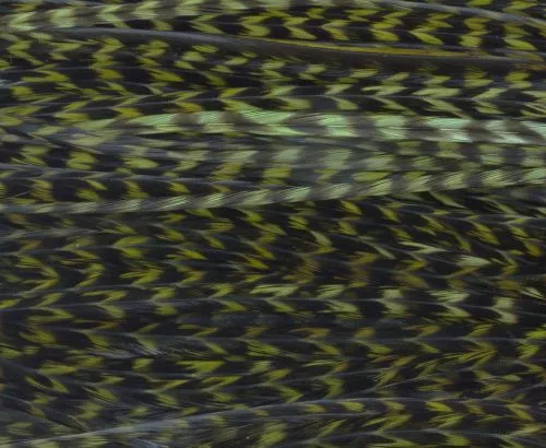 Whiting High & Dry 1/2 Saddle Cape - Funky Fly Tying 12 Whiting High & Dry 1/2 Saddle Cape - Funky Fly Tying - Image 10