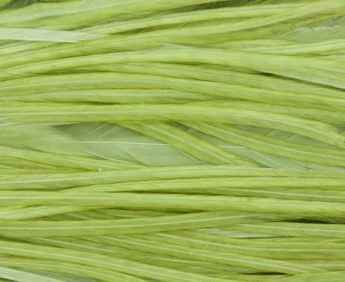 Whiting High & Dry 1/2 Saddle Cape - Funky Fly Tying 19 Whiting High & Dry 1/2 Saddle Cape - Funky Fly Tying - Image 17