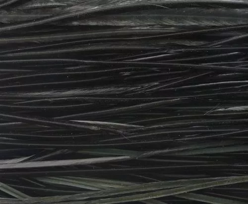 Whiting High & Dry 1/2 Saddle Cape - Funky Fly Tying 18 Whiting High & Dry 1/2 Saddle Cape - Funky Fly Tying - Image 16