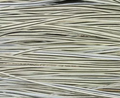 Whiting High & Dry 1/2 Saddle Cape - Funky Fly Tying 16 Whiting High & Dry 1/2 Saddle Cape - Funky Fly Tying - Image 14