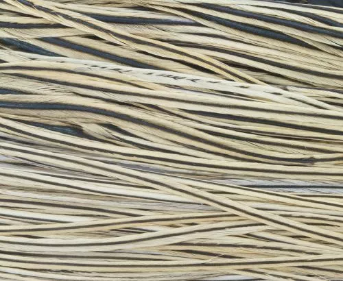 Whiting High & Dry 1/2 Saddle Cape - Funky Fly Tying 14 Whiting High & Dry 1/2 Saddle Cape - Funky Fly Tying - Image 12