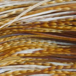 Whiting Pro Grade Midge Whole Saddle - Funky Fly Tying -Fly Tying Materials Sales Whiting Pro Grade MIDGE Whole Saddle Cape 3 1