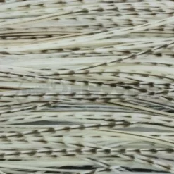 Whiting Pro Grade Midge Whole Saddle - Funky Fly Tying -Fly Tying Materials Sales Whiting Pro Grade MIDGE Whole Saddle Cape 4