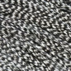 Whiting Pro Grade Midge Whole Saddle - Funky Fly Tying -Fly Tying Materials Sales Whiting Pro Grade MIDGE Whole Saddle Cape Grizzle