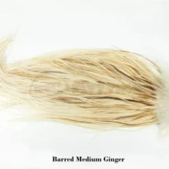 Whiting Silver Grade Whole Rooster Saddle - Funky Fly Tying -Fly Tying Materials Sales Whiting Silver Grade Whole Rooster Saddle Barred Medium Ginger