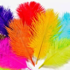 Frodin Feather Packs - Funky Fly Tying -Fly Tying Materials Sales ostrich pack 2 fix 1024x 1
