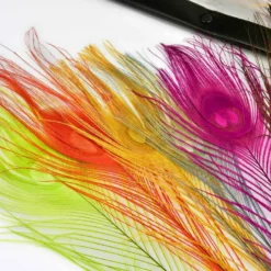 Frodin Feather Packs - Funky Fly Tying -Fly Tying Materials Sales pc3 fix 1024x