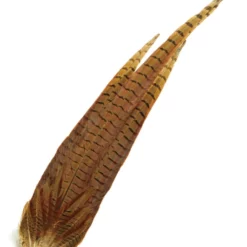 Chevron Cock Pheasant Complete Tail - Funky Fly Tying